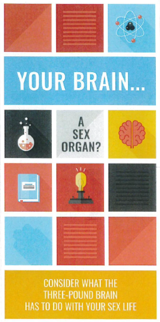 Your Brain... a Sex Organ